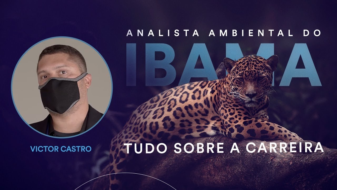 Tudo Sobre A Carreira De Analista Ambiental Do IBAMA